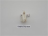 藏品(尺蛾332)的圖片